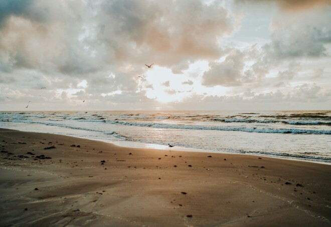 A cloudy, empty beach with birds flying above in Padre Island, Texas